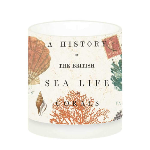 Sea Life Boxed Tea Light Holder