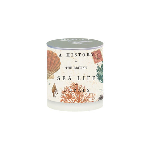 Sea Life Spa Candle