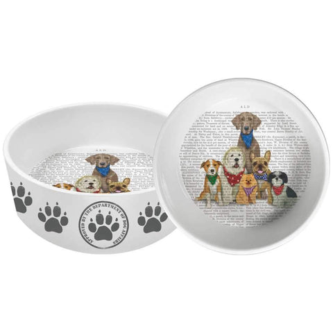 Paw Paw Gang 8" Pet Bowl