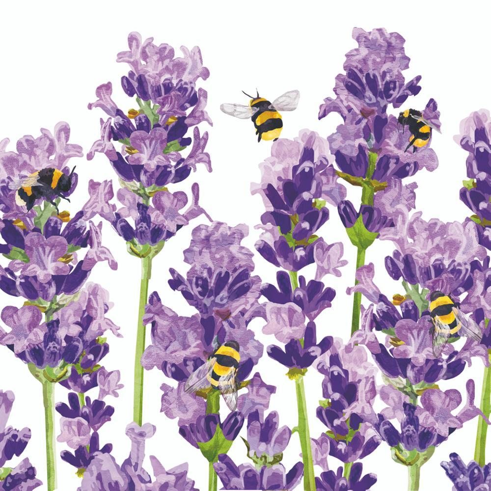 Bees & Lavender – Paperproducts Design