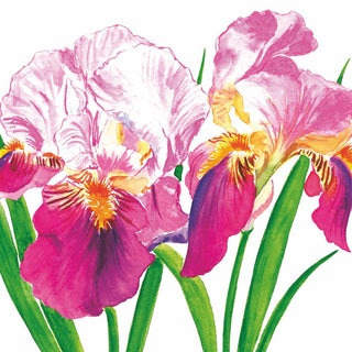 Sweet Iris Lunch Napkin